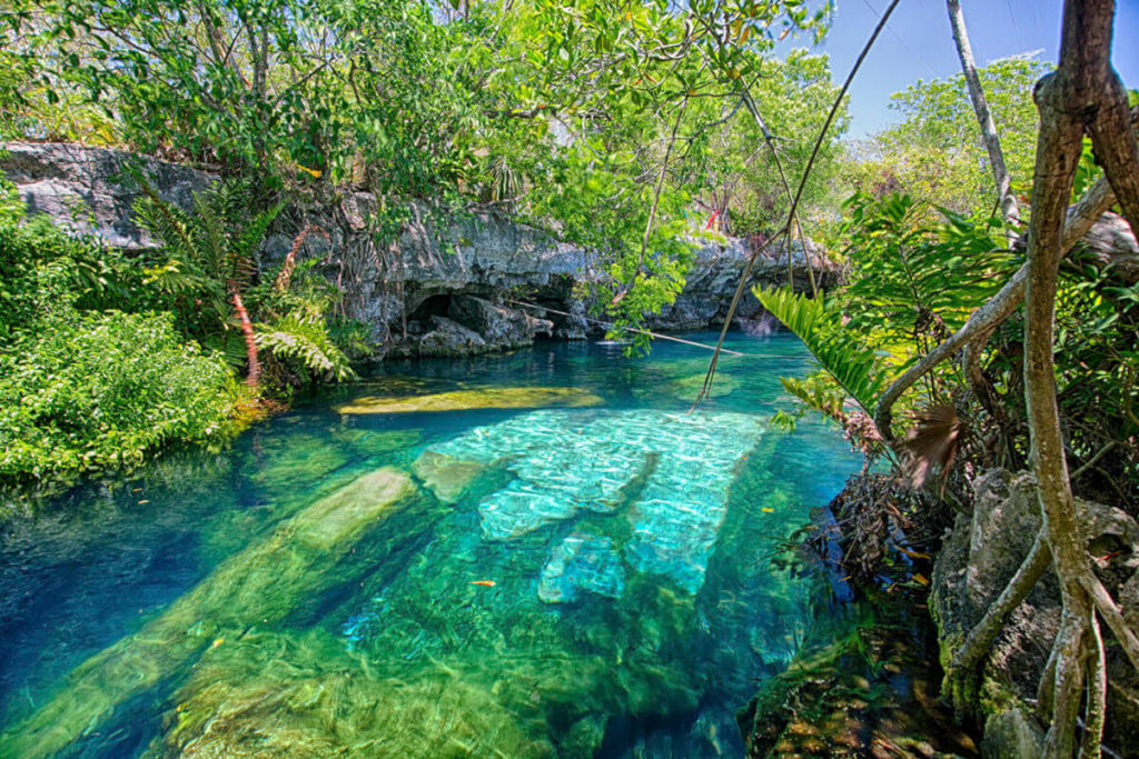 Cancun and Riviera Maya Cenotes | Cancun Airport