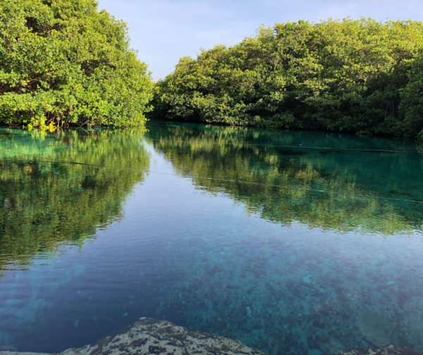 Cancun and Riviera Maya Cenotes | Cancun Airport